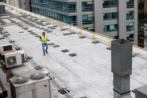 Best Roof Maintenance and Cleaning  in Dyersville, IA
