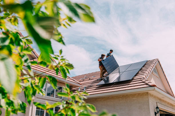 Best Roof Moss and Algae Removal  in Dyersville, IA