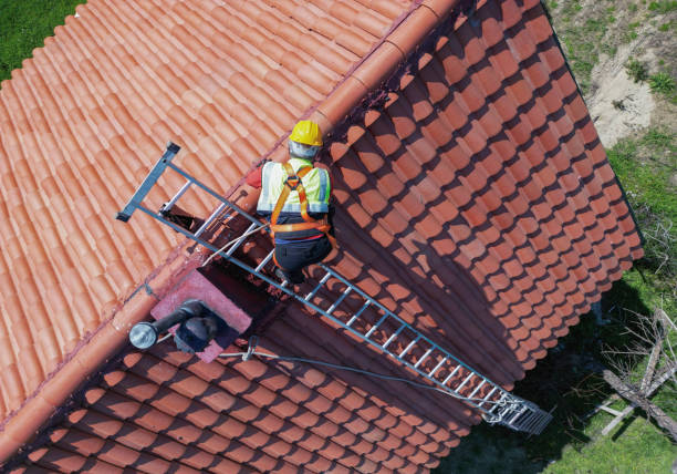 Best Skylight Installation and Repair  in Dyersville, IA