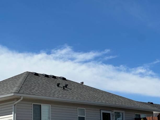 Best Cold Roofs  in Dyersville, IA